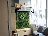 Fotowand met bank en diverse achterwand kleuren afm. 125 x 232 cm. let op exclusief flitslampen. - afbeelding 1 van  3