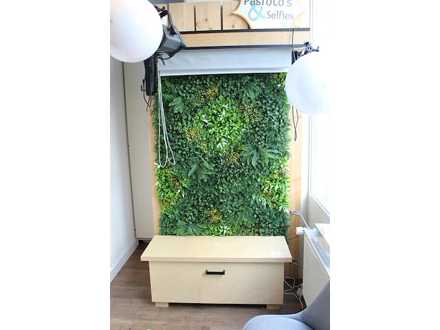 Fotowand met bank en diverse achterwand kleuren afm. 125 x 232 cm. let op exclusief flitslampen. - afbeelding 2 van  3