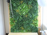 Fotowand met bank en diverse achterwand kleuren afm. 125 x 232 cm. let op exclusief flitslampen. - afbeelding 2 van  3