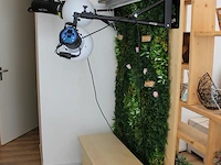 Fotowand met bank en diverse kleuren uitschuifbare achterwanden 125 x 232 cm met twee flitslampen mettle 60... - afbeelding 5 van  6