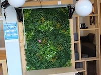 Fotowand met bank, twee uitschuifbare achterwanden 125 x 232 cm en twee flitslampen mettle 600 q met diffuser. - afbeelding 2 van  4
