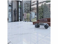 Freddo gepolijst 100x100 cm tegel 60 m² - afbeelding 3 van  3