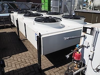 Friga-bohn - afbeelding 1 van  9