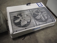 Friga-bohn - afbeelding 4 van  6