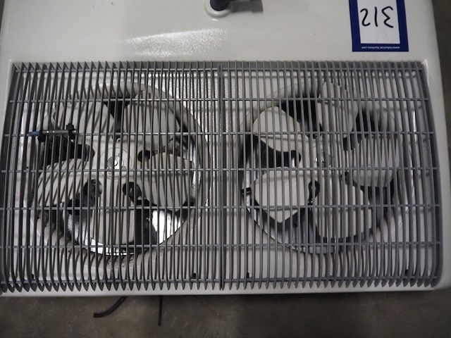 Friga-bohn - afbeelding 5 van  6