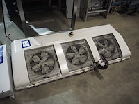 Friga-bohn - afbeelding 1 van  6