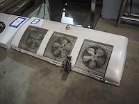 Friga-bohn - afbeelding 2 van  6