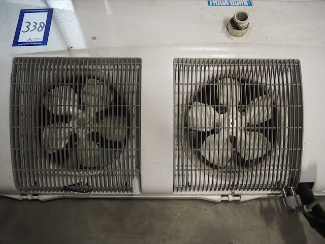 Friga-bohn - afbeelding 4 van  6