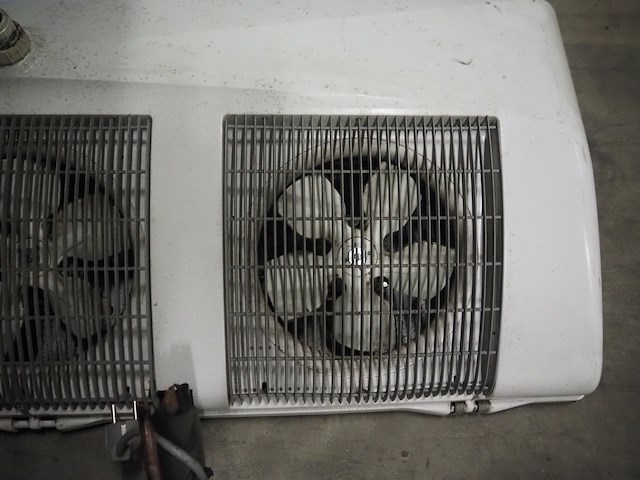 Friga-bohn - afbeelding 5 van  6