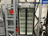 Frigoglass dubbele drankenkoelkast