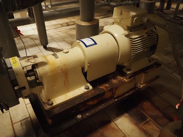 Fristam - afbeelding 1 van  5