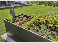 Gardena micro-drip-system druppelirrigatieset voor verhoogde bedden/perken (35 planten) - afbeelding 3 van  5