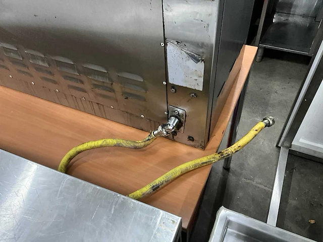 Gas salamander - afbeelding 8 van  8