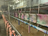 Gascoigne melotte 2x36 geiten melkstal 1 op 1 rapid exit. - afbeelding 3 van  60