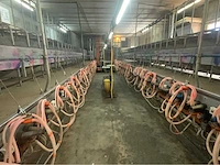 Gascoigne melotte 2x36 geiten melkstal 1 op 1 rapid exit. - afbeelding 6 van  60