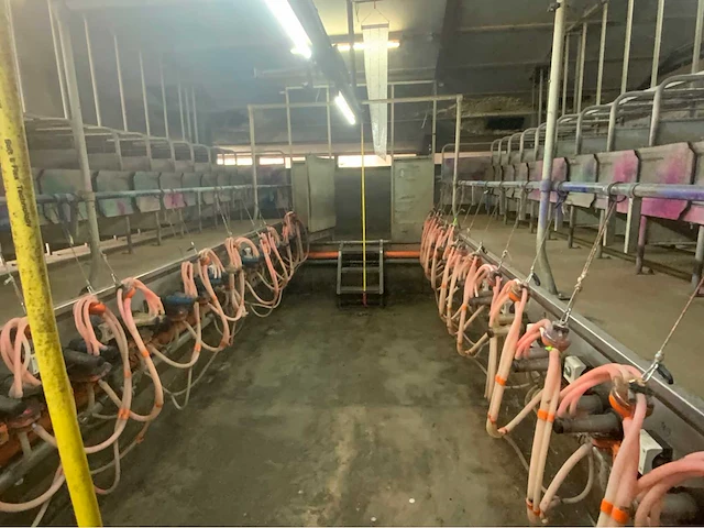 Gascoigne melotte 2x36 geiten melkstal 1 op 1 rapid exit. - afbeelding 18 van  60