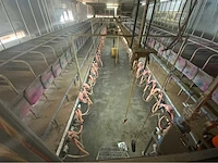 Gascoigne melotte 2x36 geiten melkstal 1 op 1 rapid exit. - afbeelding 12 van  60