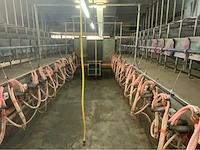 Gascoigne melotte 2x36 geiten melkstal 1 op 1 rapid exit. - afbeelding 24 van  60