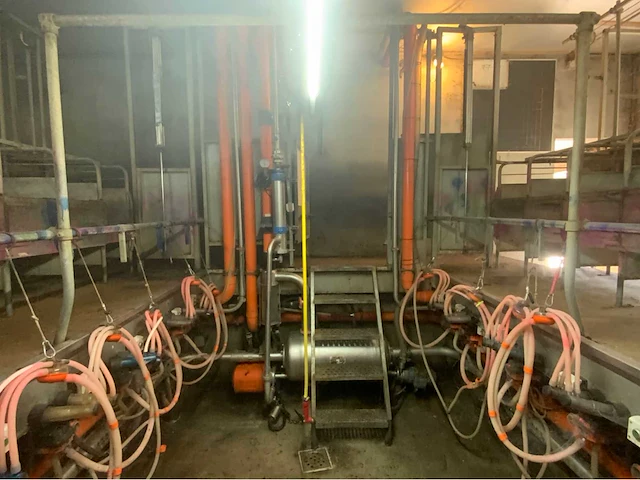 Gascoigne melotte 2x36 geiten melkstal 1 op 1 rapid exit. - afbeelding 33 van  60
