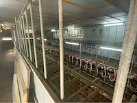Gascoigne melotte 2x36 geiten melkstal 1 op 1 rapid exit. - afbeelding 34 van  60