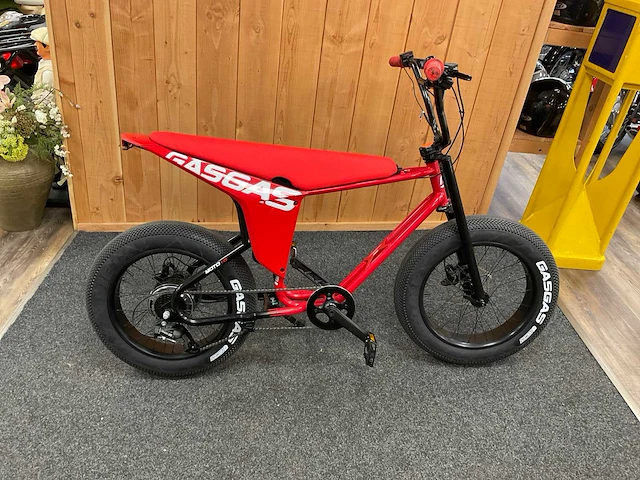 Gasgas moto 1.0 fatbike - afbeelding 1 van  13