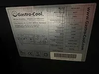 Gastro-cool - gcu-c201 - 2-deurs glasdeurkoelakst - afbeelding 5 van  5