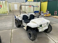 Gator 4x2 utv