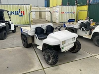 Gator 4x2 utv