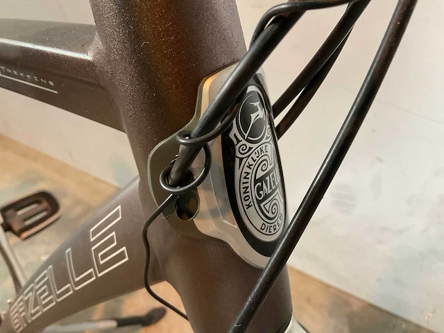 Gazelle - fuente trekking - heren - herenfiets - afbeelding 9 van  11