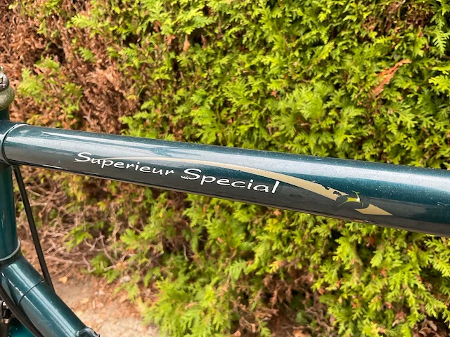 Gazelle superieur special herenfiets - afbeelding 2 van  11