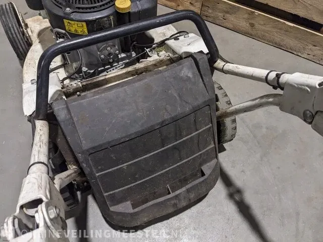 Gazonmaaier etesia, rkeb - afbeelding 2 van  13