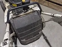 Gazonmaaier etesia, rkeb - afbeelding 2 van  13