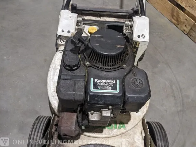 Gazonmaaier etesia, rkeb - afbeelding 8 van  13
