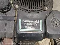 Gazonmaaier etesia, rkeb - afbeelding 9 van  13