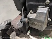 Gazonmaaier etesia, rkeb - afbeelding 10 van  13