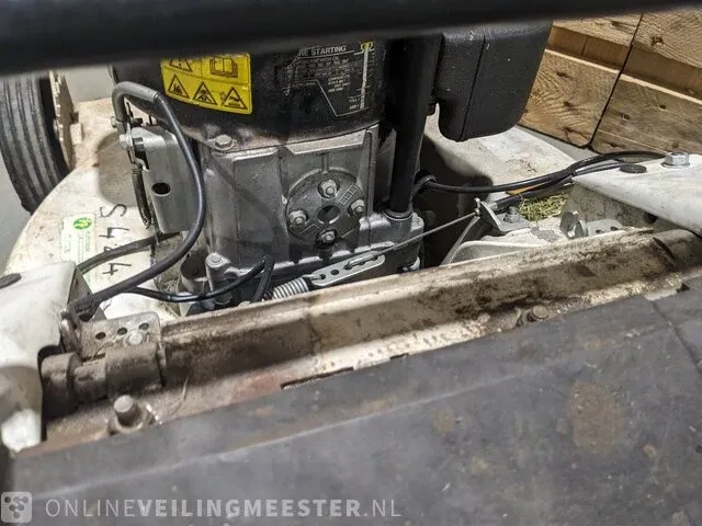 Gazonmaaier etesia, rkeb - afbeelding 13 van  13