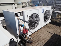 Gea goedhart - afbeelding 2 van  8