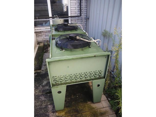 Gea küba - afbeelding 2 van  6