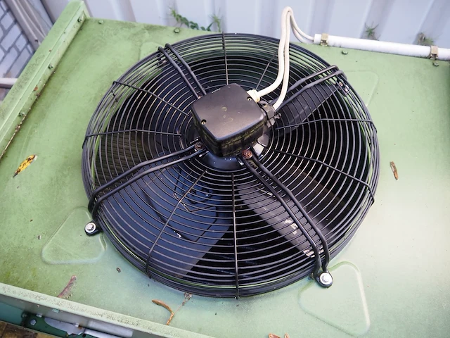 Gea küba - afbeelding 4 van  6