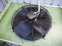 Gea küba - afbeelding 4 van  6