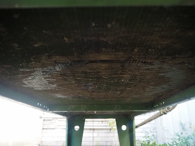 Gea küba - afbeelding 5 van  6