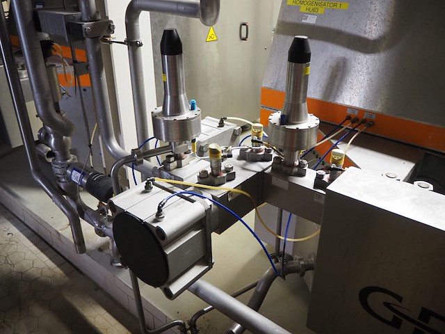 Gea niro soavi - afbeelding 15 van  17