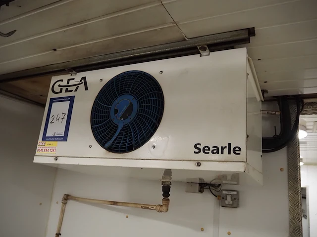 Gea searle - afbeelding 1 van  4