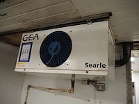 Gea searle - afbeelding 1 van  4
