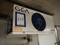 Gea searle - afbeelding 2 van  4