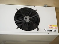 Gea searle - afbeelding 4 van  4