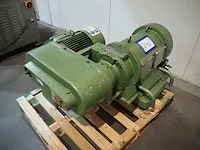 Gea - afbeelding 1 van  5