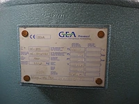 Gea - afbeelding 6 van  17