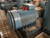 Gea - afbeelding 6 van  17