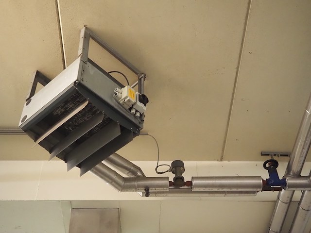 Gea - afbeelding 2 van  6